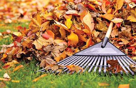 a rake with a leaf pile for recycling