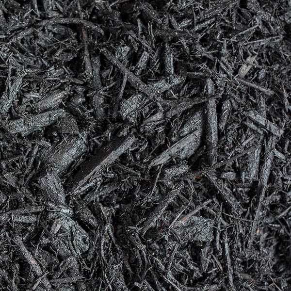 Black dyed mulch