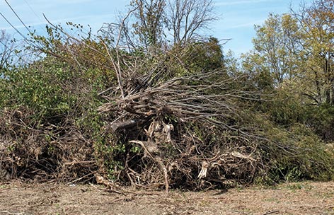 a large brush pile ready for recycling