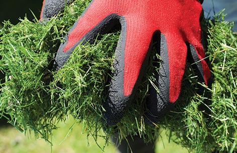 gloved hands carrying grass for recycling